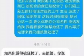 濮阳为什么选择专业追讨公司来处理您的债务纠纷？