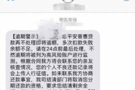 濮阳濮阳的要账公司在催收过程中的策略和技巧有哪些？